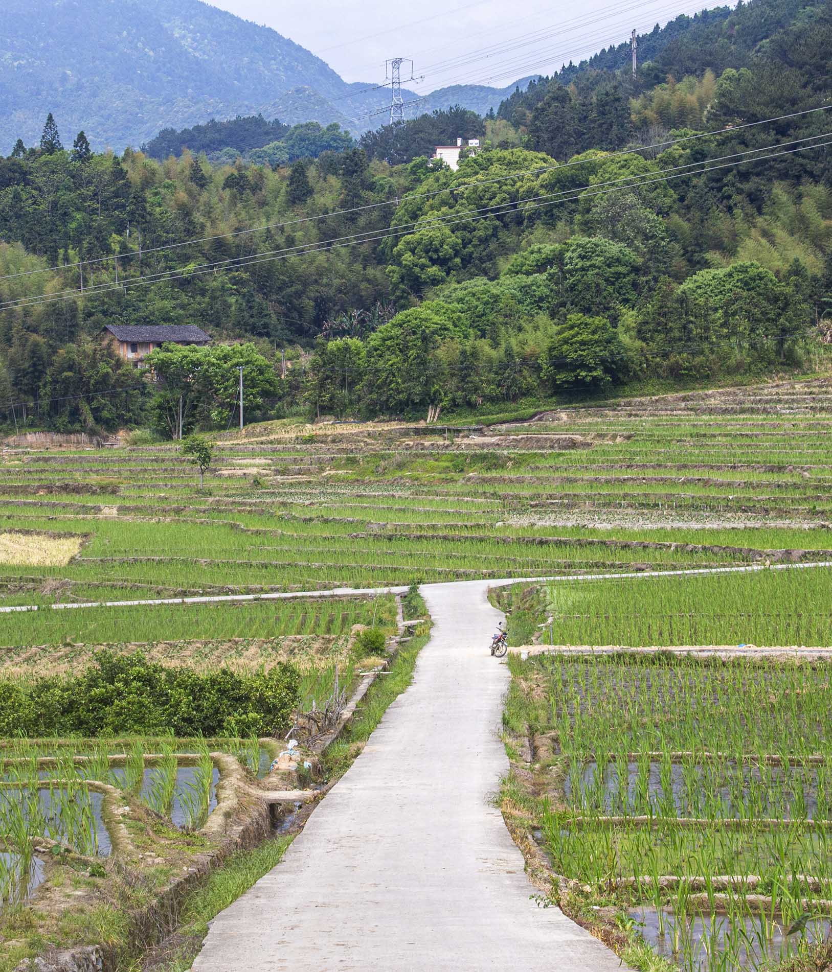 闽清县樟洋村图片